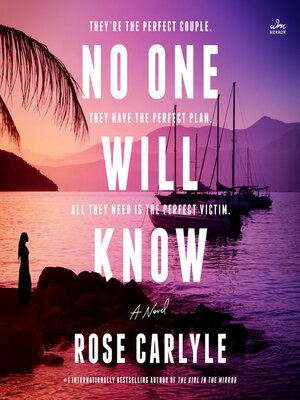 cover image of No One Will Know